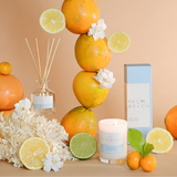 Yuzu & Sea Moss Mini Reed Diffuser 50ml