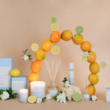 Yuzu & Sea Moss Mini Reed Diffuser 50ml