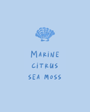 Sea Reed Diffuser 110ml