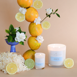 Yuzu & Sea Moss Mini Scented Candle 90g