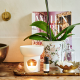 Motivate Essential Oil 15ml